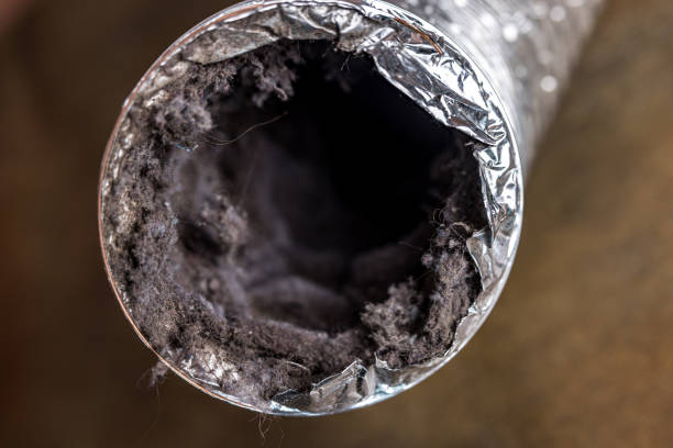Best Ventilation Cleaning Services  in Splendora, TX